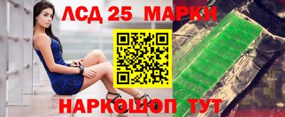гашик Гатчина