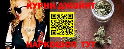 гашик Гатчина