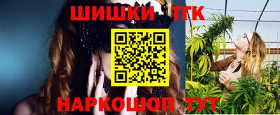 гашик Гатчина